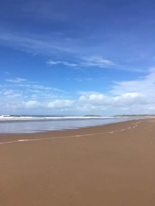 Angel Garden Beach Homestay Kochi India